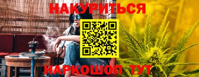 spice Новозыбков