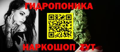 индика Новокубанск