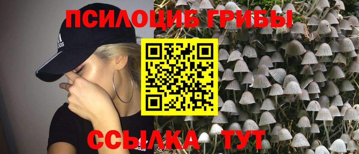 Скопин  Псилоцибиновые грибы ЛСД  Вход с VPN  Галлюциногенные грибы Psilocybe 