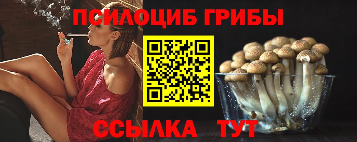 Галлюциногенные грибы мухоморы Скопин